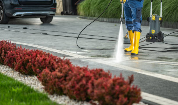 Deck Cleaning Services in Albion, IL